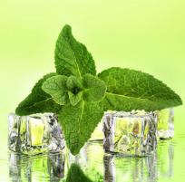 North American Peppermint Oil 